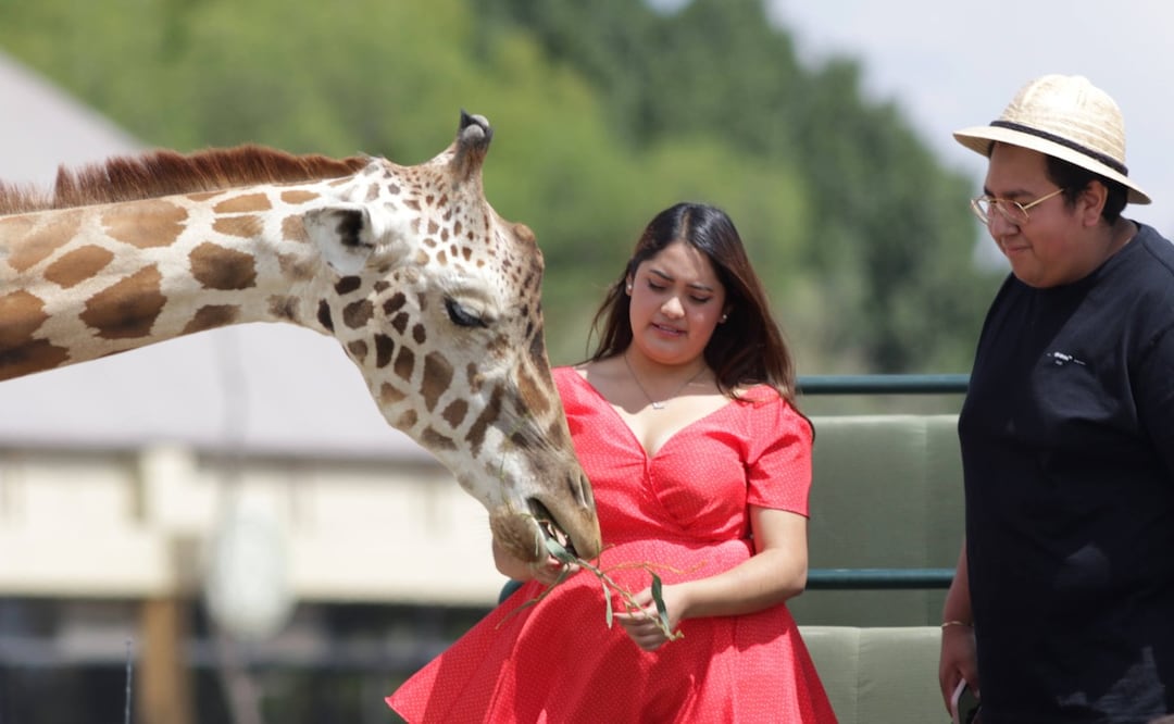 FOTO: Agencia Es Imagen para El Universal Puebla