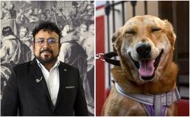 ¿Por qué te ama tu mascota? La ciencia lo explica