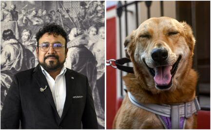 ¿Por qué te ama tu mascota? La ciencia lo explica