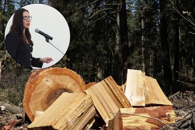 Puebla contará con una Guardia Forestal para reducir la tala clandestina e incendios