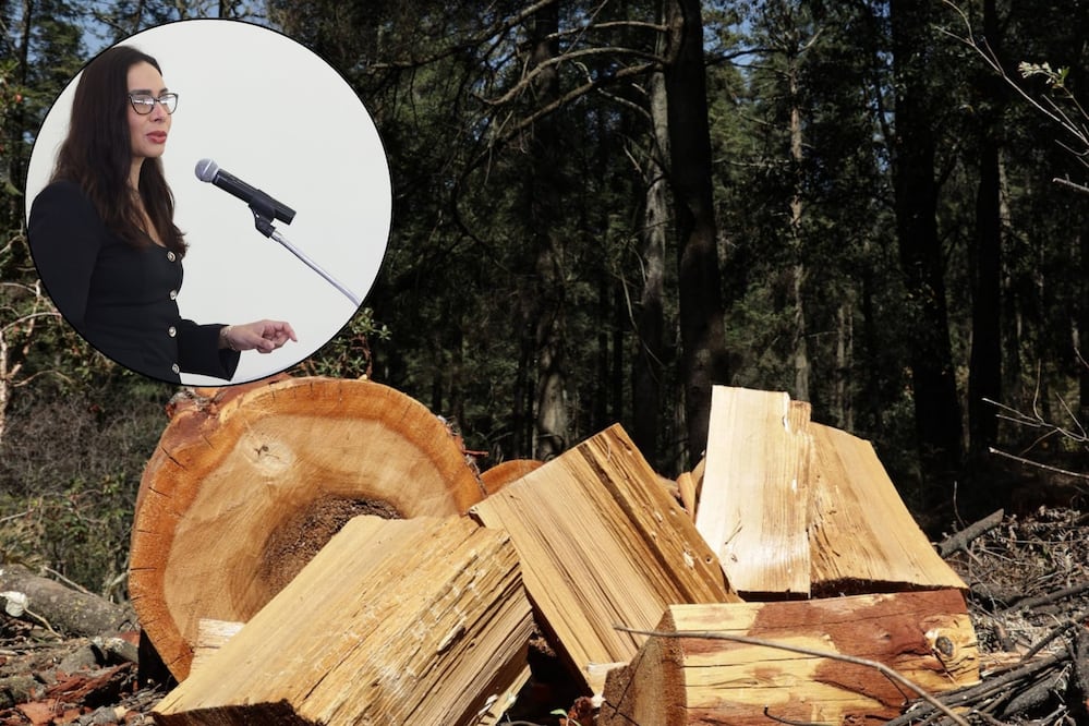 El objetivo de la Guardia Forestal es apoyar en las labores de combate a incendios forestales / Foto: EsImagen