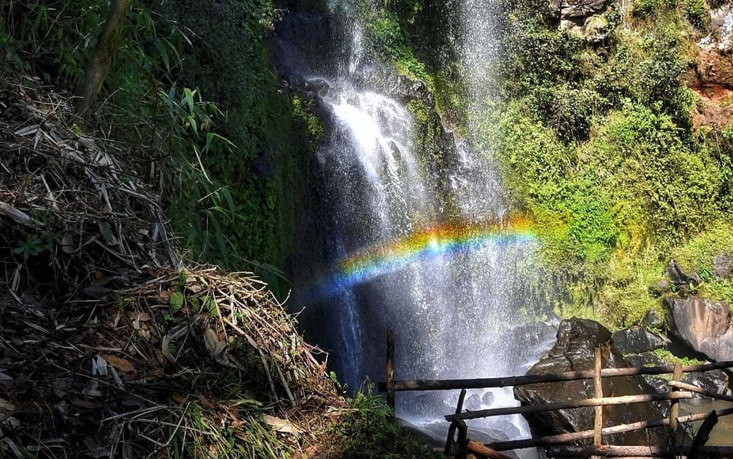 ¿Qué hay en las Cascadas Paraíso de Honey y cuánto cuesta visitarlas?