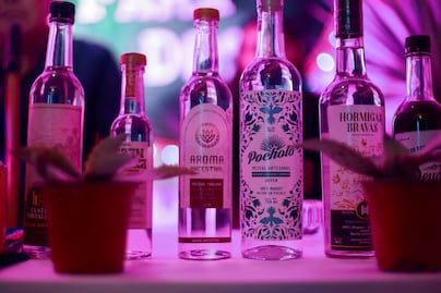 Recorre la ruta del mezcal en Puebla