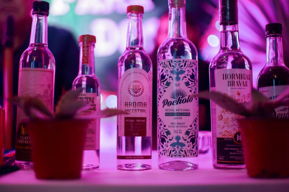 Puebla ha avanzado como productor de mezcal en los últimos años