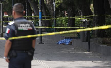 MUERE EN PASEO BRAVO