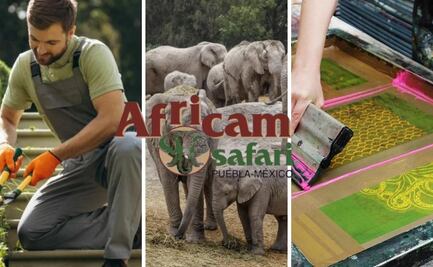 Nuevas vacantes de empleo en Africam Safari, estos son los requisitos