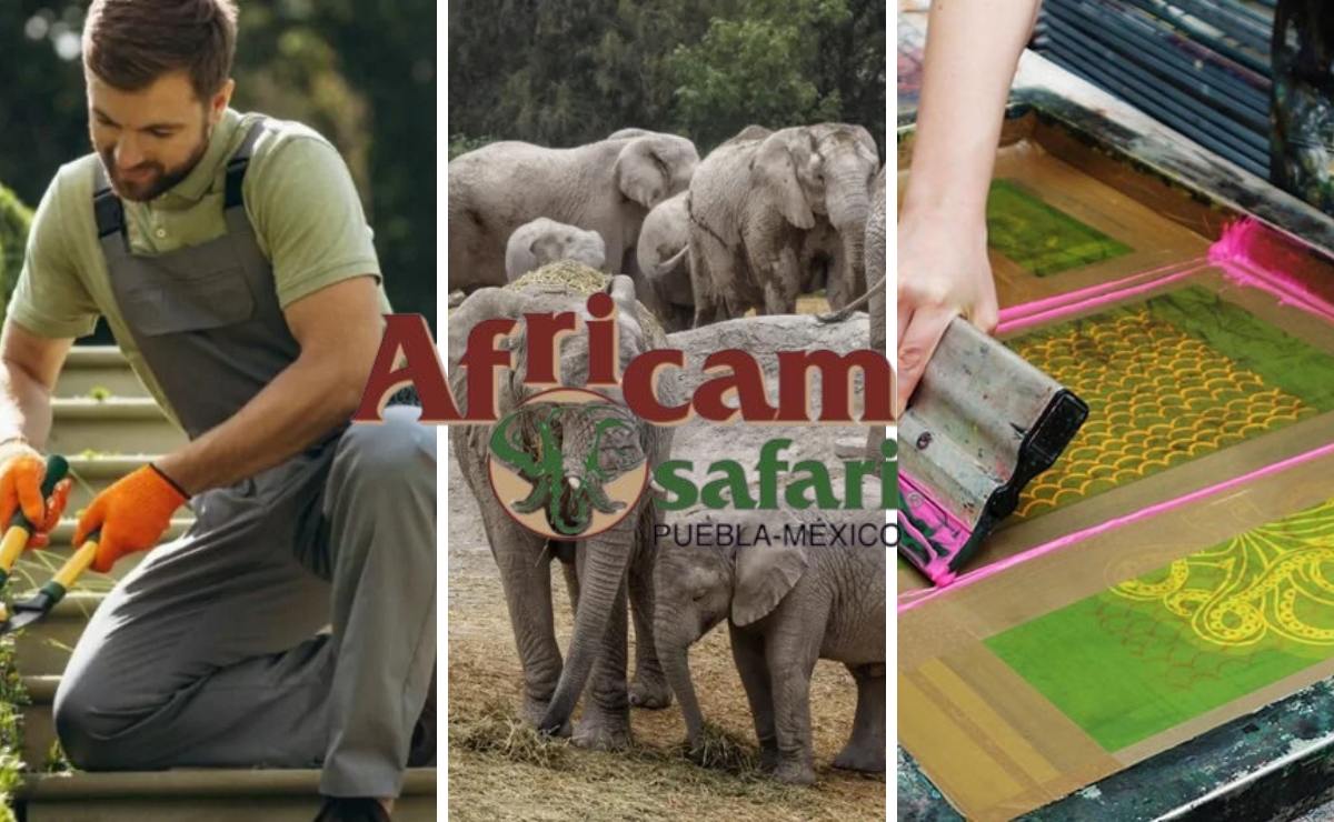 Nuevas vacantes de empleo en Africam Safari, estos son los requisitos