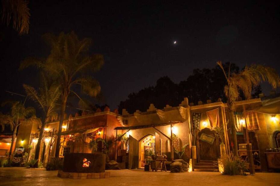 Foto: Africam Safari