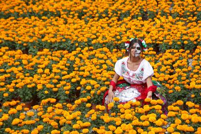 Feria de la Flor y el Mezcal de Atlixco, aquí todos los detalles