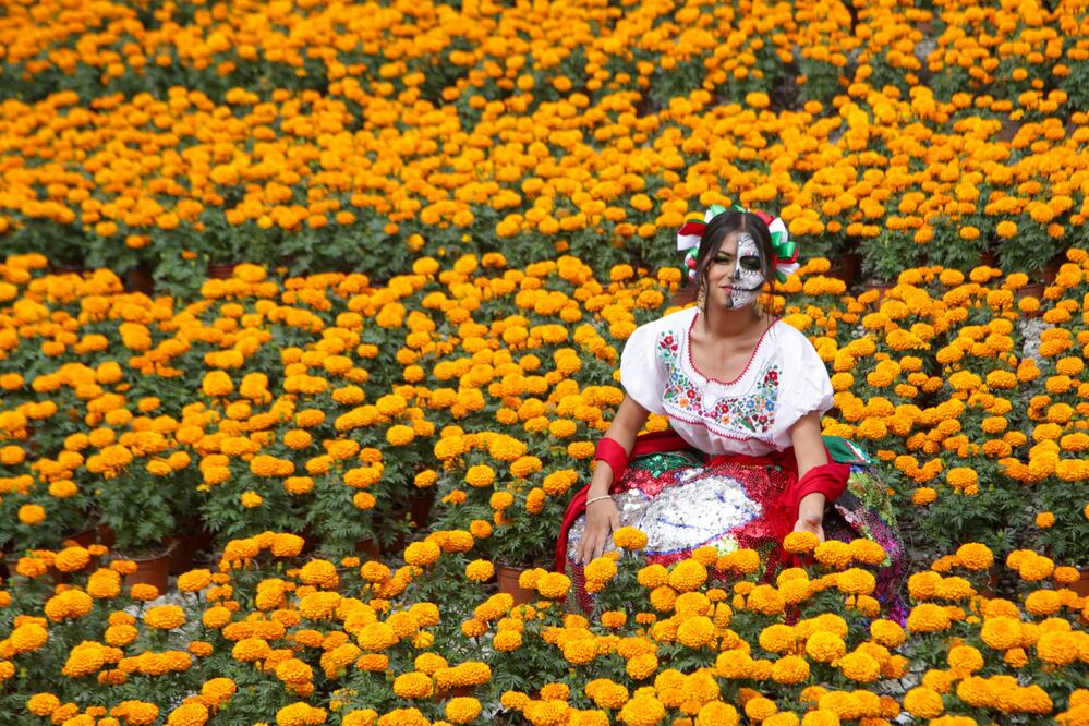 El próximo domingo, en Atlixco puedes recorrer los campos de flores mientras degustas un mezcal | Foto: Agencia Es Imagen para El Universal Puebla
