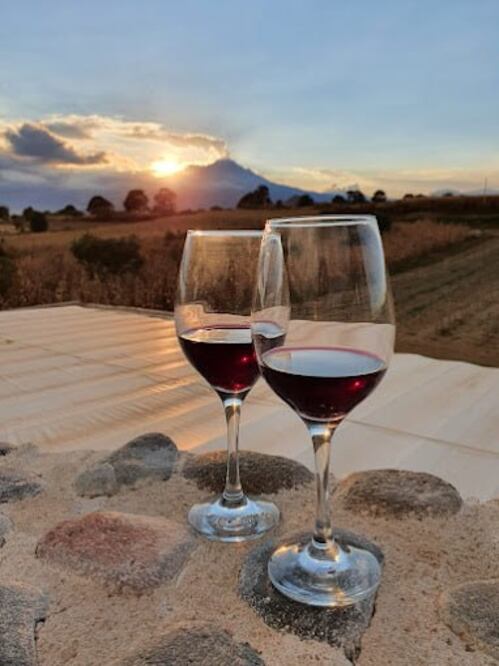 En Entreerres puedes degustar y aprender de vino en Puebla | Foto: Google / Sarai Gonzalez