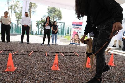 Inicia la semana del bienestar animal en Puebla capital