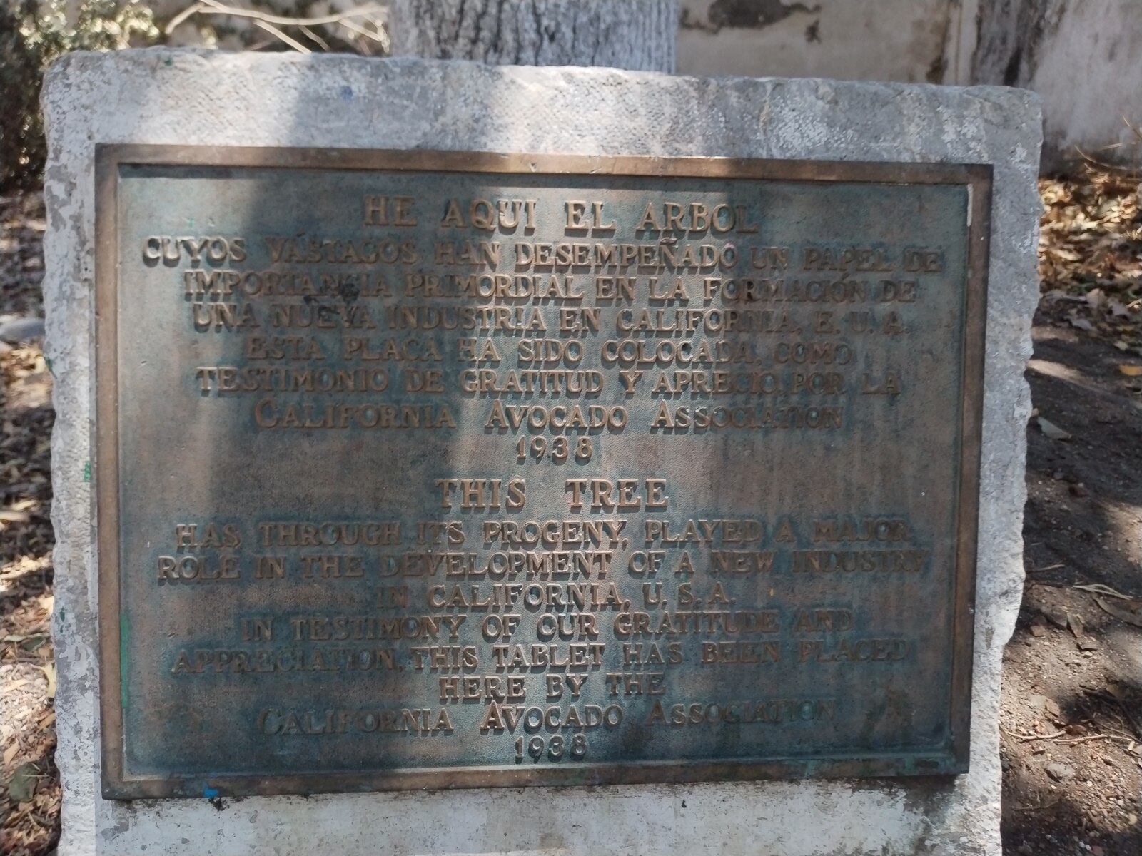 En el Pueblo Mágico de Atlixco está la Casa del Aguacate | Foto: Facebook Atlixco Pueblo Mágico Puebla