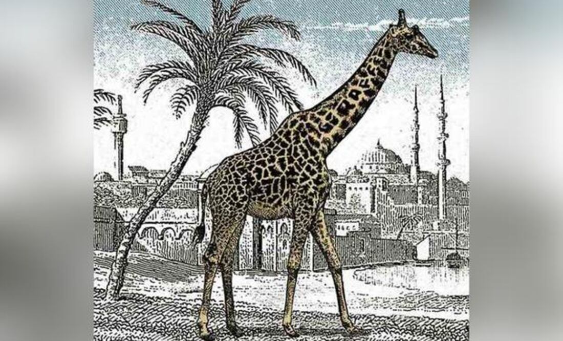 Los tests de personalidad ayudan a descubrir qué atrae a las personas y los test de agilidad ayudan a nuestra capacidad mental.
Foto: Producción El Universal