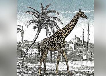 Sólo una persona con vista de felino puede descubrir la jirafa oculta en la imagen