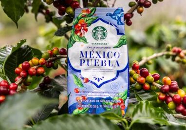 Así puedes conseguir el nuevo café de Starbucks cultivado en Puebla