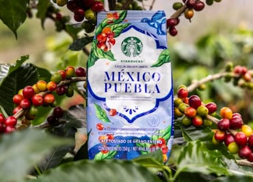 Así puedes conseguir el nuevo café de Starbucks cultivado en Puebla