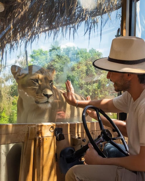 Foto: Facebook Africam Safari