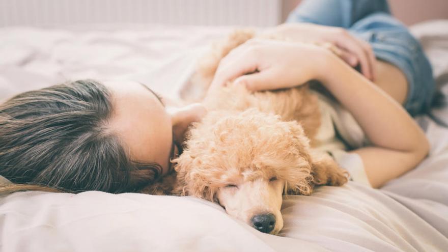 ¿Duermes con tu mascota? Estos son los riesgos que podría tener para tu salud