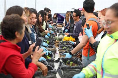 Ayuntamiento de Puebla imparte cursos sobre producción de hortalizas