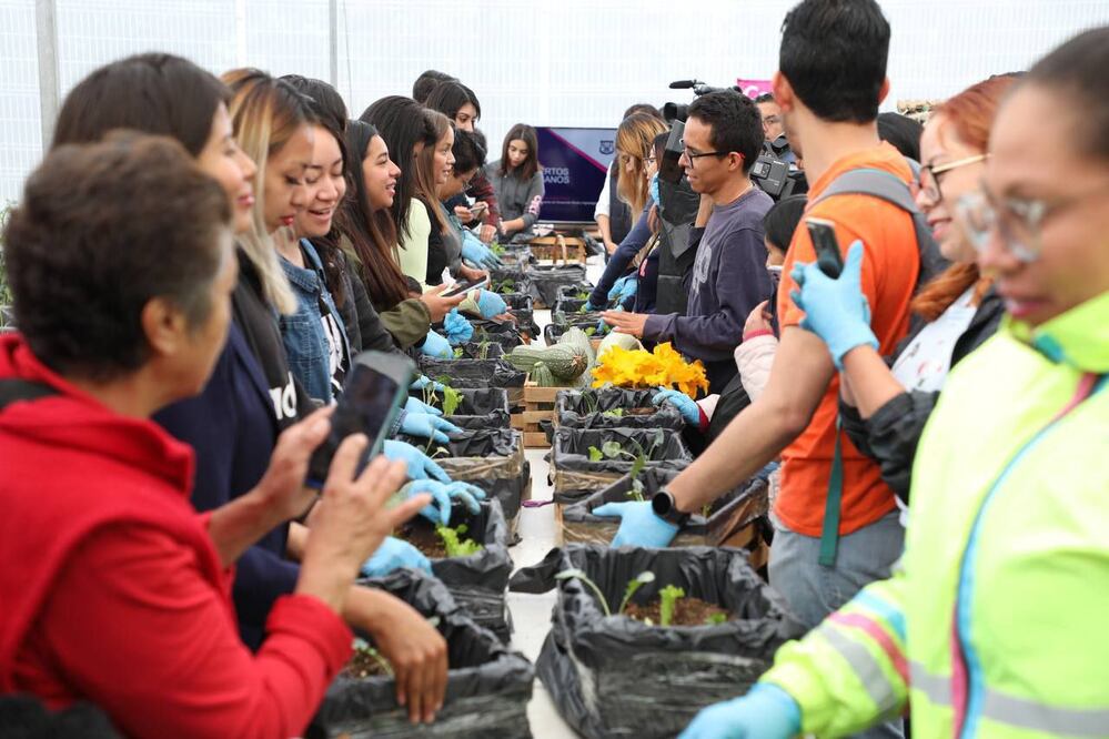 En la ciudad de Puebla se enseña a sembrar alimentos en huertos urbanos | Especial