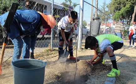 Siembran 14 mil árboles en la ciudad de Puebla