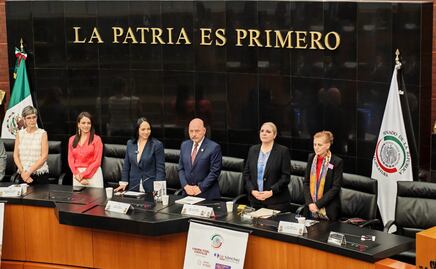 Difunde SEDIF modelo Centro LIBRE-Casa Carmen ante el Senado