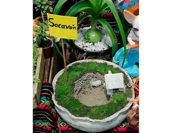 Ahora venden la maceta del socavón en Puebla