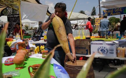 FESTIVAL DEL PULQUE