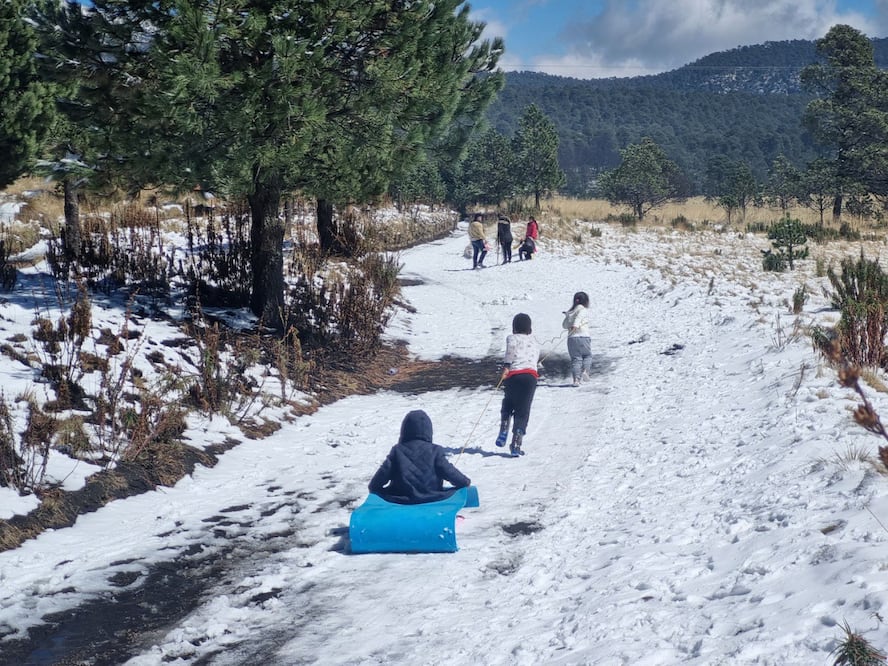 Durante los inviernos más fríos, Zacatlán ha tenido nevadas que transforman sus bosques y campos en un escenario de ensueño. Foto Agencia Es Imagen