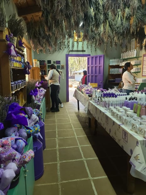 Foto: FB Rancho San Martín