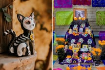 Cuándo se pone la ofrenda para las mascotas en Día de Muertos