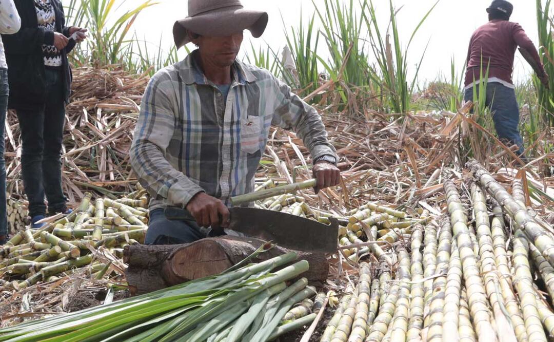 El ingenio de Atencingo produce más de un millón 600 mil  toneladas de azúcar al año | Foto: Agencia Es Imagen para El Universal Puebla