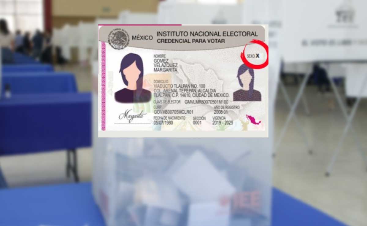 Credencial del INE para personas no binarias está en análisis