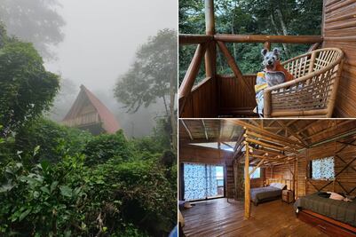 Cabañas de bambú entre neblina y cafetales en este Pueblo Mágico de Puebla