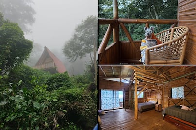 Cabañas de bambú entre neblina y cafetales en este Pueblo Mágico de Puebla