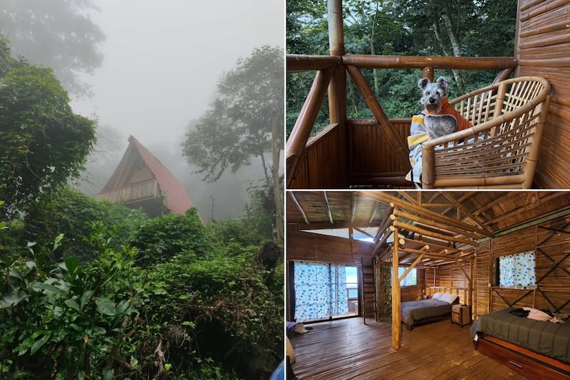 Cabañas de bambú entre neblina y cafetales en este Pueblo Mágico de Puebla