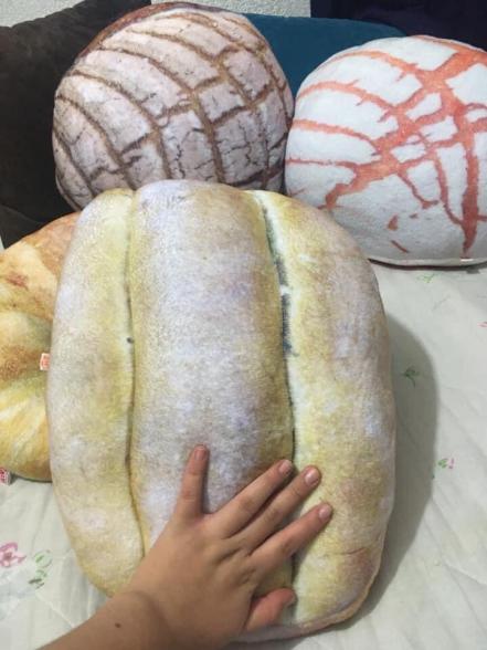 Duerme rodeado de pancito: ya llegaron las almohaconchas
