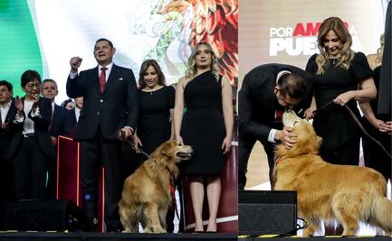 Él es Tommy, la mascota de Alejandro Armenta y director honorífico de Bienestar Animal