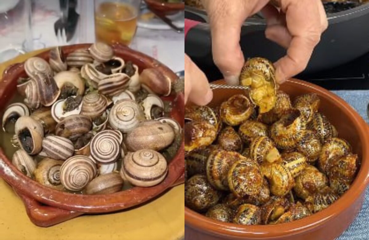 Caracoles en mole: Descubre las preparaciones y beneficios de este platillo