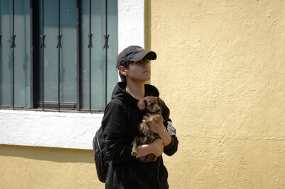 ¿Dónde se registran las mascotas en Puebla?