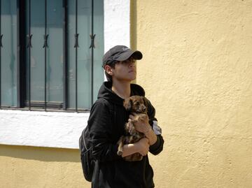 ¿Dónde se registran las mascotas en Puebla?