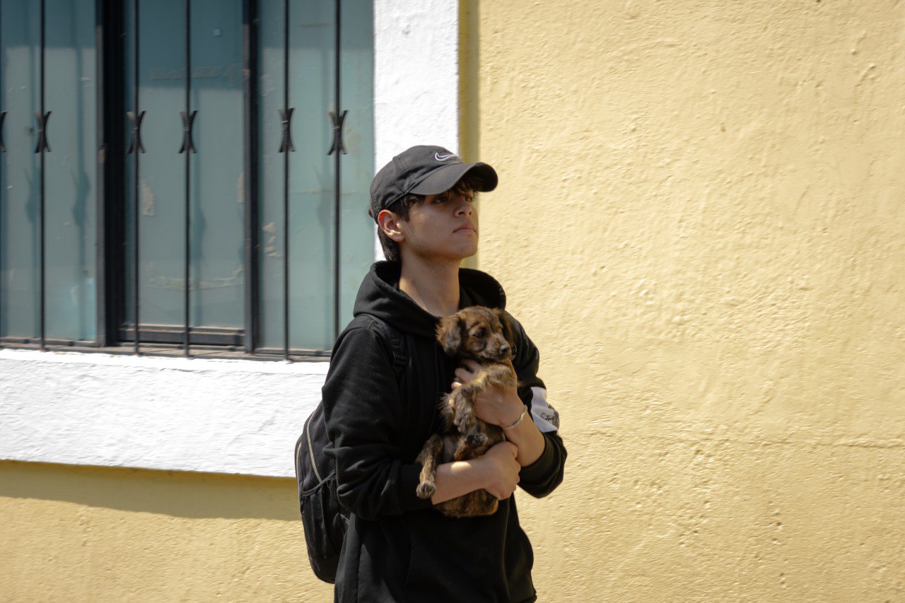 ¿Dónde se registran las mascotas en Puebla?