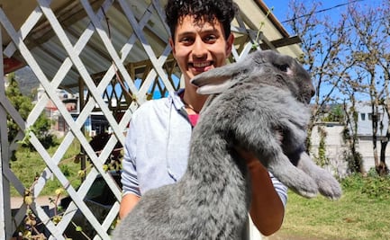 Kiru, los impresionantes conejos gigantes que puedes ver en la Feria de Puebla