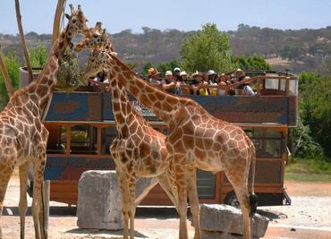 ¿Buscas trabajo y te gustan los animales? Africam Safari tiene vacantes