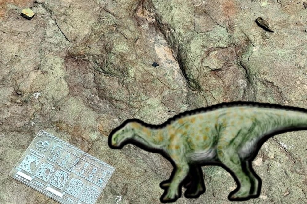 En Puebla se confirmó que habitaron dinosaurios | Foto: INAH / Wikipedía