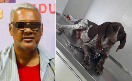 Detienen a hombre que atropelló a lomito en Piaxtla, aquí los detalles