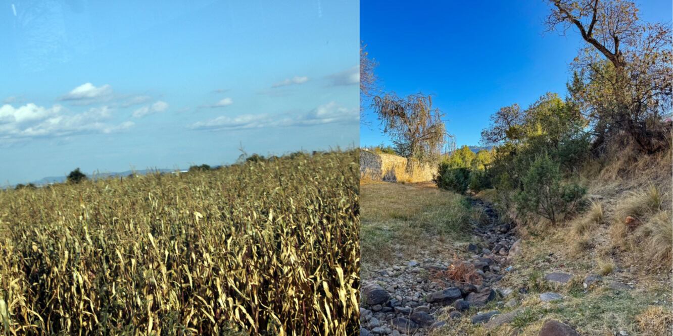 Incremento de temperatura en el campo / Foto EsImagen