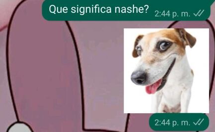 TikTok: ¿qué significa “nashe”