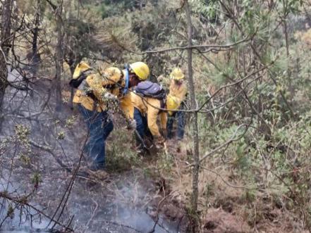 Cambio climático provoca más incendios en Puebla: Conafor